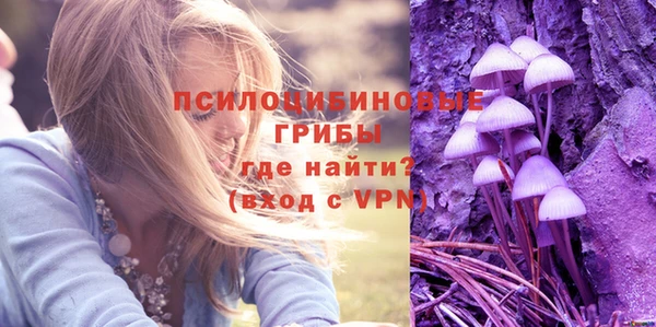 дживик Армянск