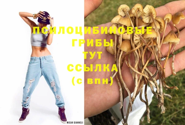 mix Аркадак
